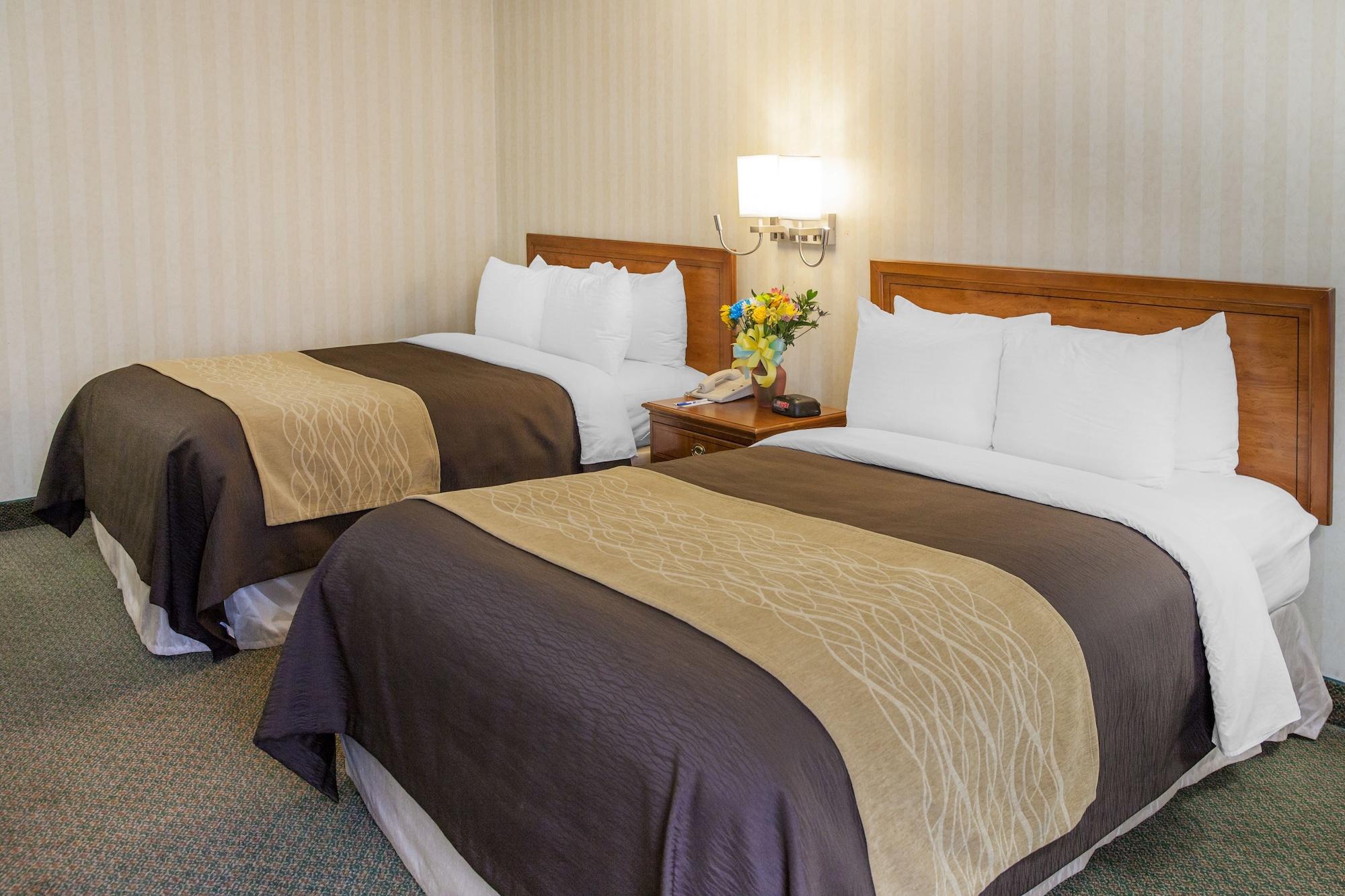 Comfort Inn Pentagon City Arlington Eksteriør billede
